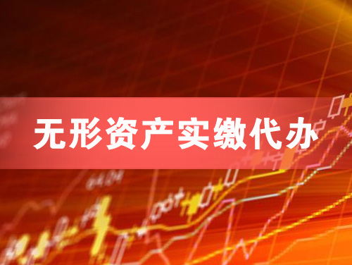 原平无形资产实缴资本代办